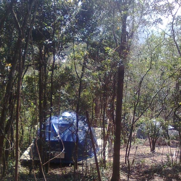 Hostel Macacos 11