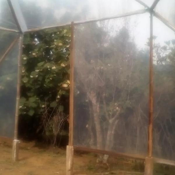 Estufa De Bambu 04