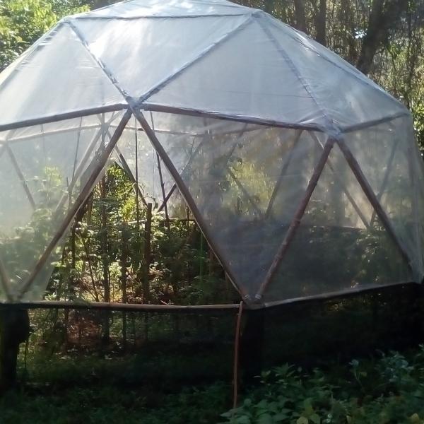 Estufa De Bambu 15