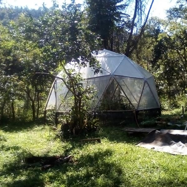 Estufa De Bambu 16