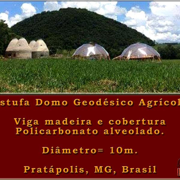 Estufa Agricola Patrapolis 6
