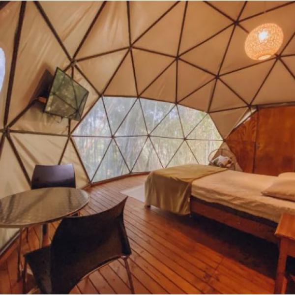 Glamp6