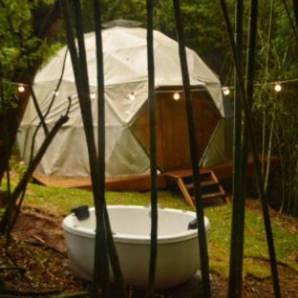 Glamp8
